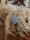 Aster